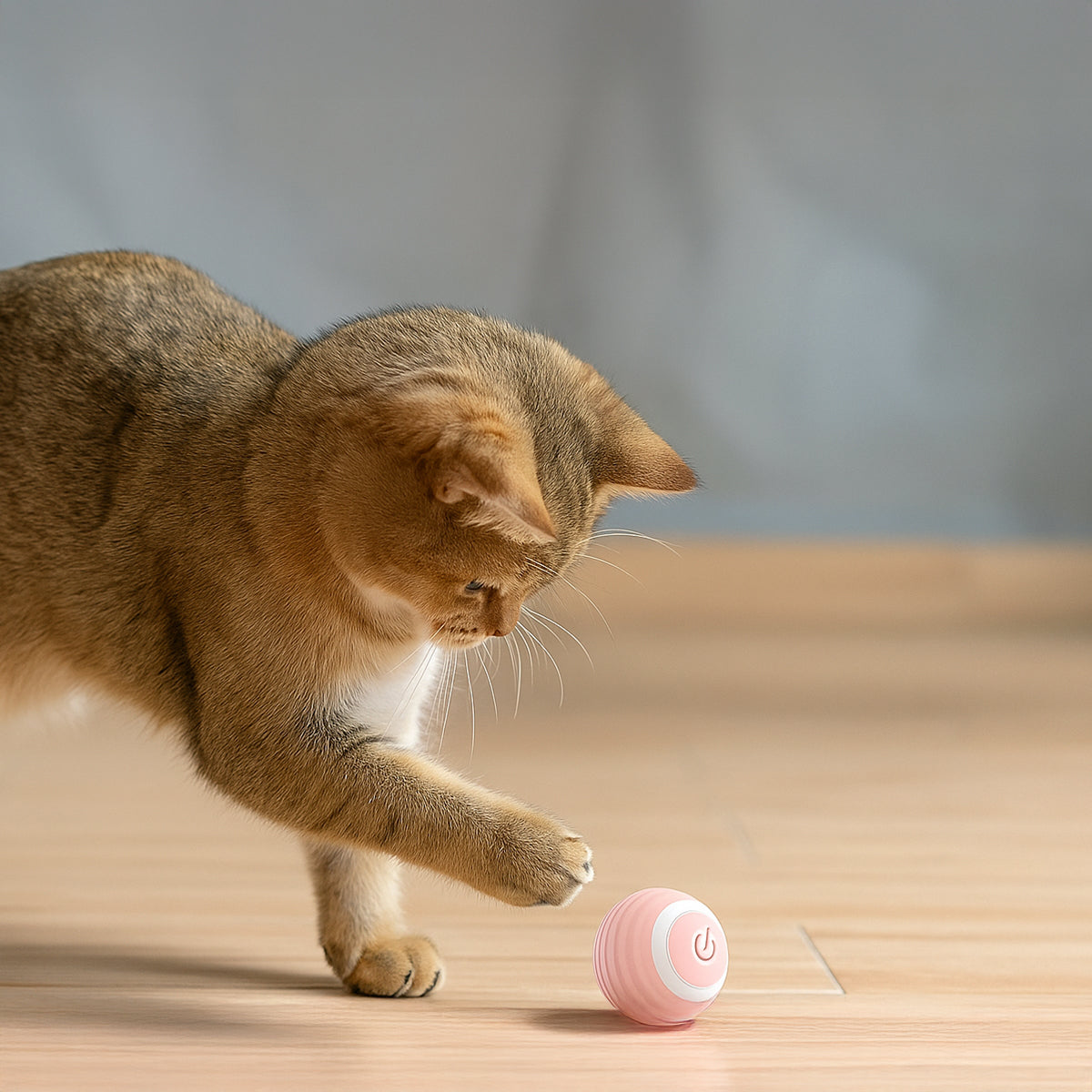 Rolling Cat Toy – Automatic & Rechargeable