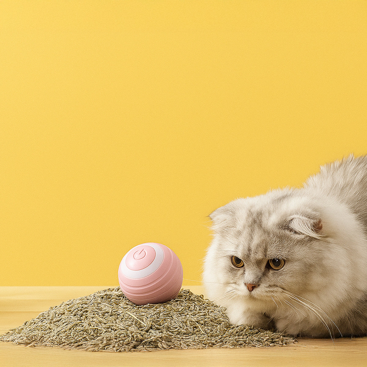 Rolling Cat Toy – Automatic & Rechargeable