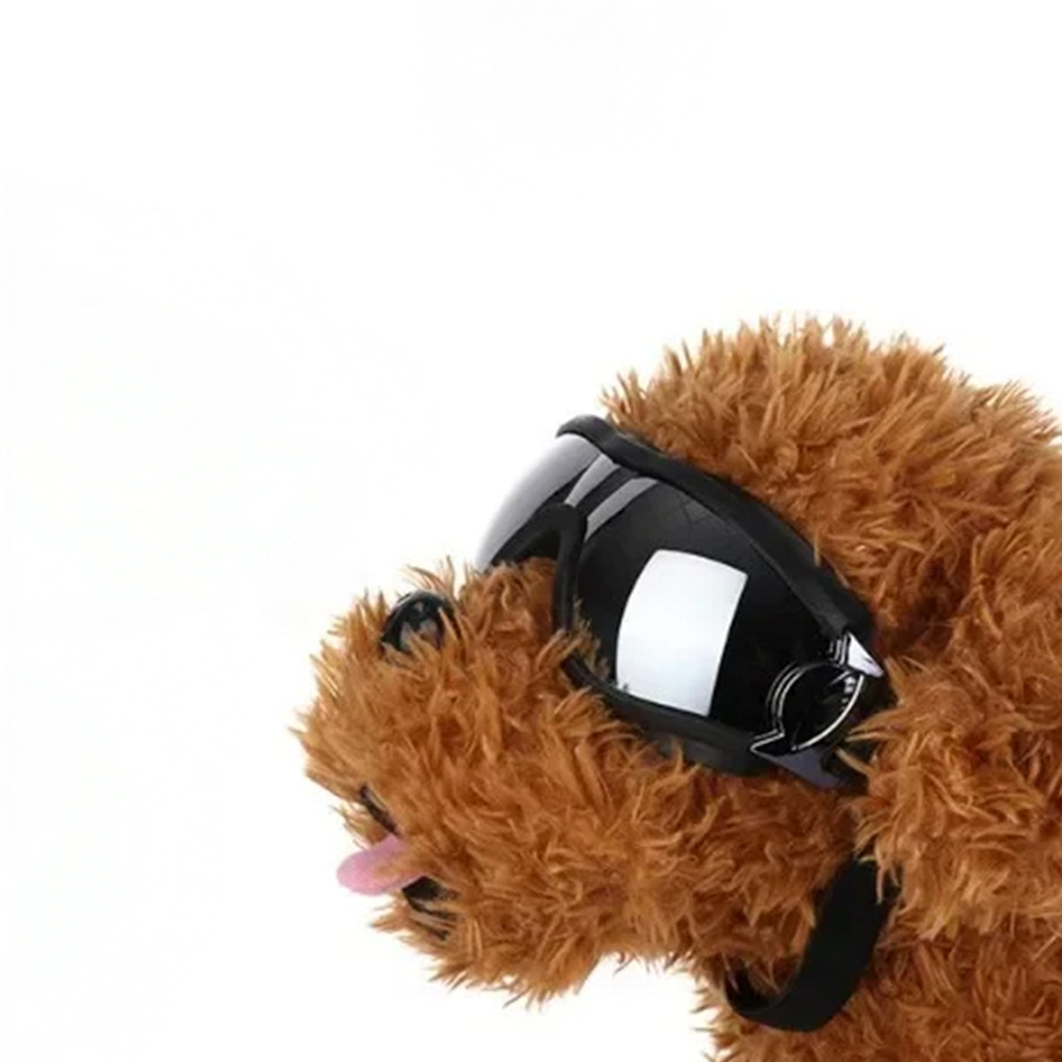 Dog Goggles Protection - Windproof Pet Sunglasses