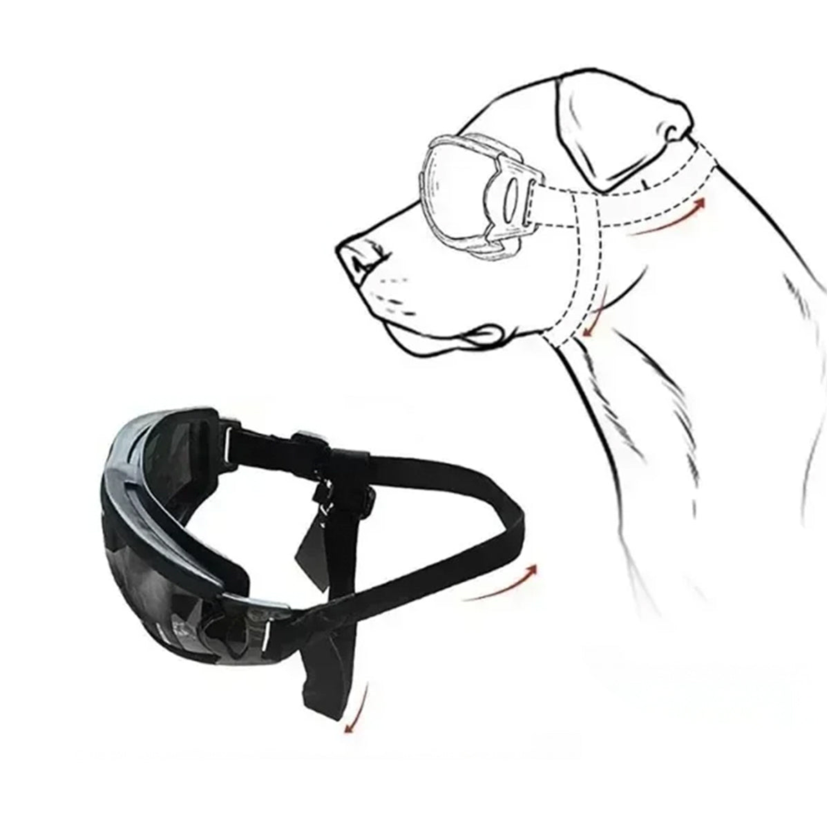 Dog Goggles Protection - Windproof Pet Sunglasses