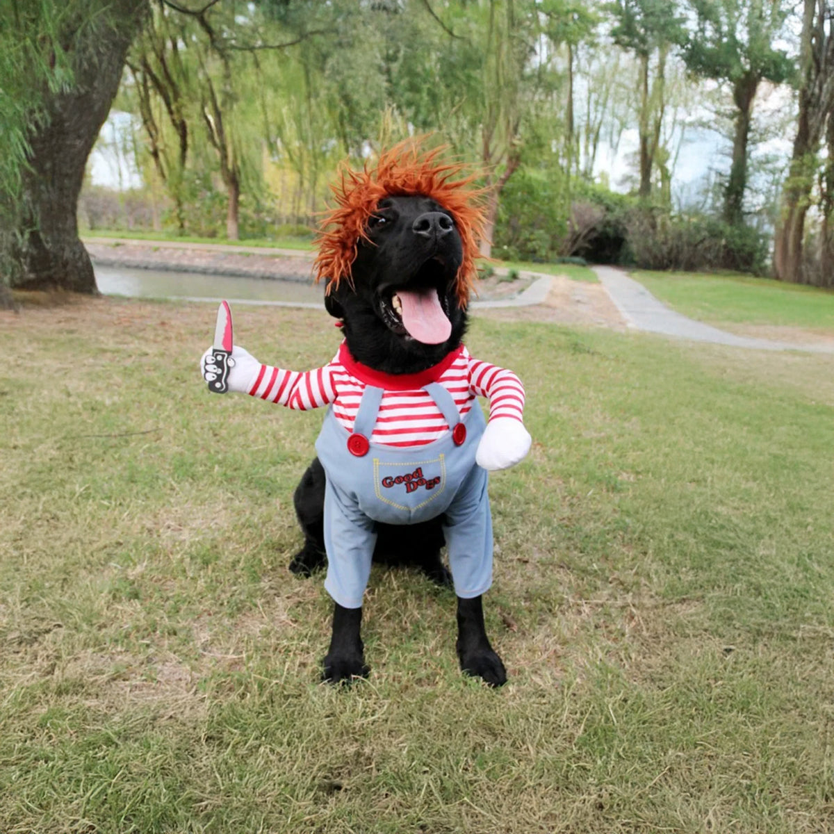 Funny Dog Costume - Dog Outfit
