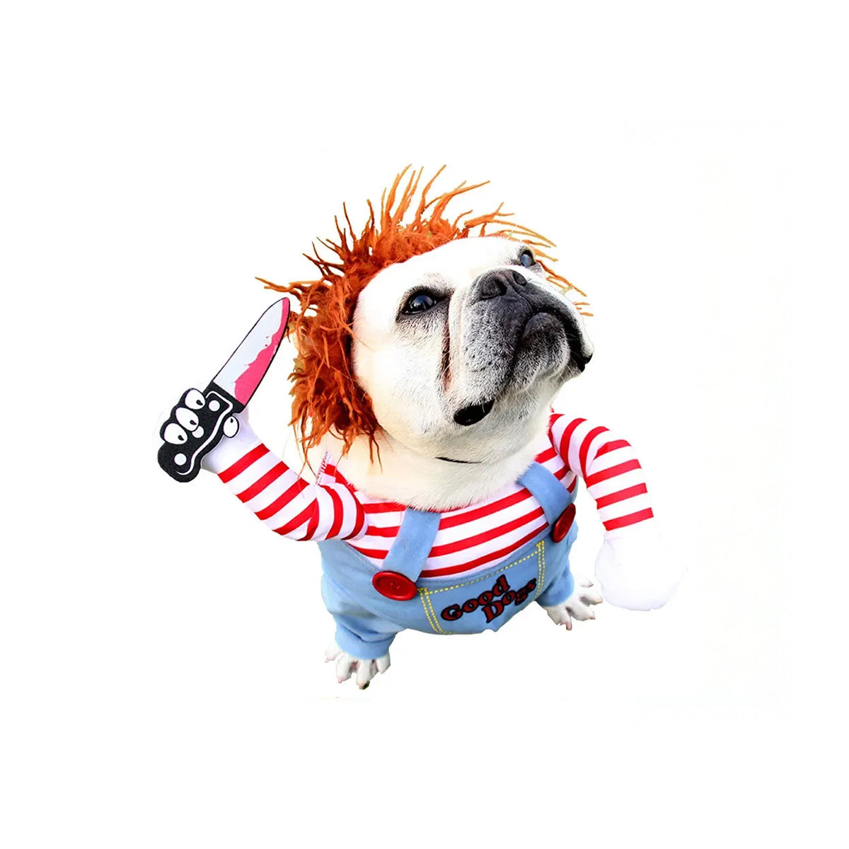 Funny Dog Costume - Dog Outfit